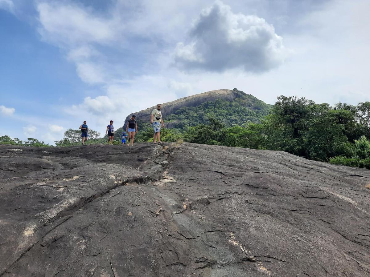 Galaxy View Homestay Sigiriya Exteriér fotografie