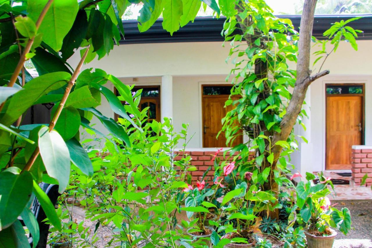 Galaxy View Homestay Sigiriya Exteriér fotografie