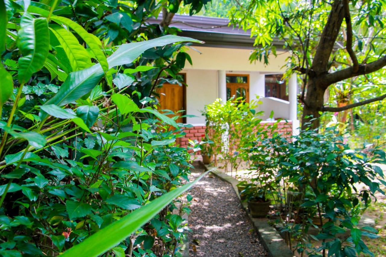 Galaxy View Homestay Sigiriya Exteriér fotografie