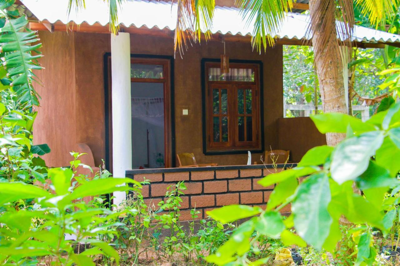 Galaxy View Homestay Sigiriya Exteriér fotografie