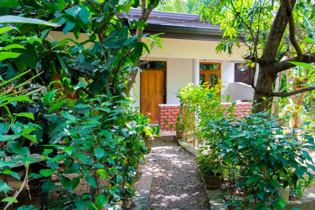 Galaxy View Homestay Sigiriya Exteriér fotografie