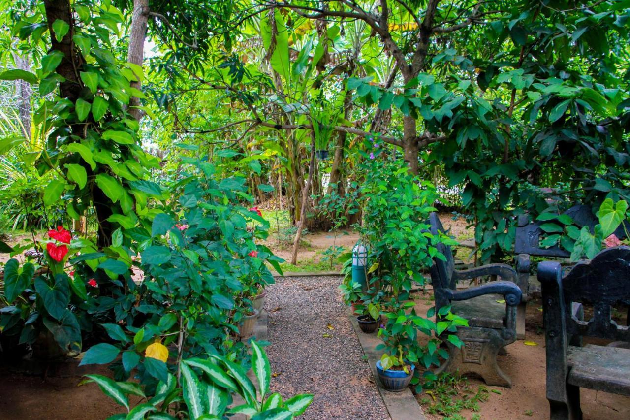 Galaxy View Homestay Sigiriya Exteriér fotografie