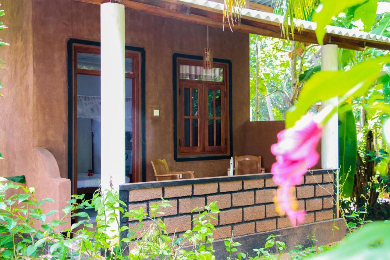 Galaxy View Homestay Sigiriya Exteriér fotografie