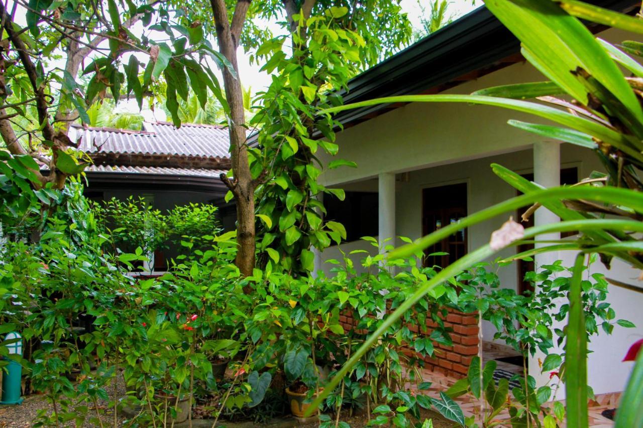 Galaxy View Homestay Sigiriya Exteriér fotografie