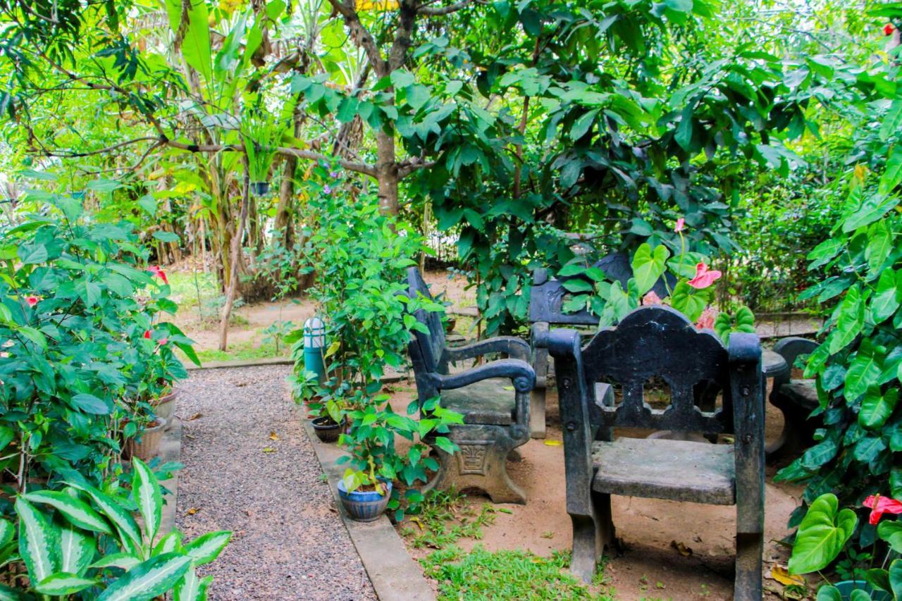 Galaxy View Homestay Sigiriya Exteriér fotografie