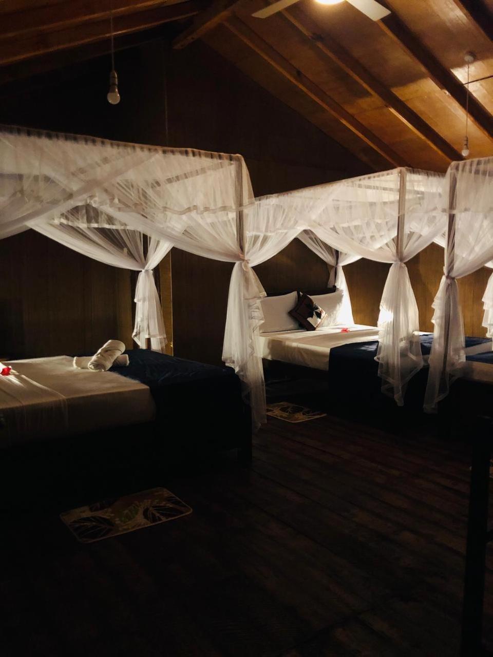 Galaxy View Homestay Sigiriya Exteriér fotografie